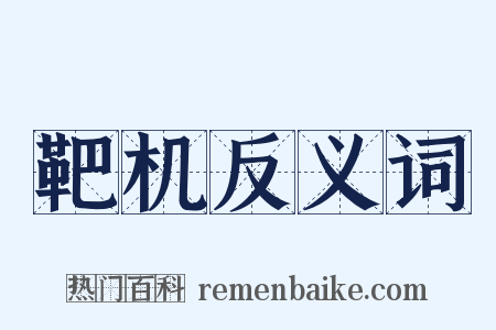 靶机反义词是什么意思的图片
